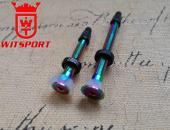colorful zinc plating tubeless valve