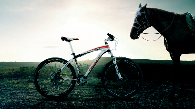 Going out? Why not on bike?